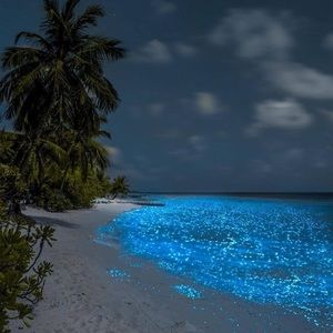 Meet your Posher, Terri